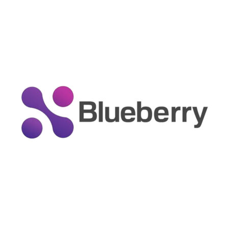 blueberry